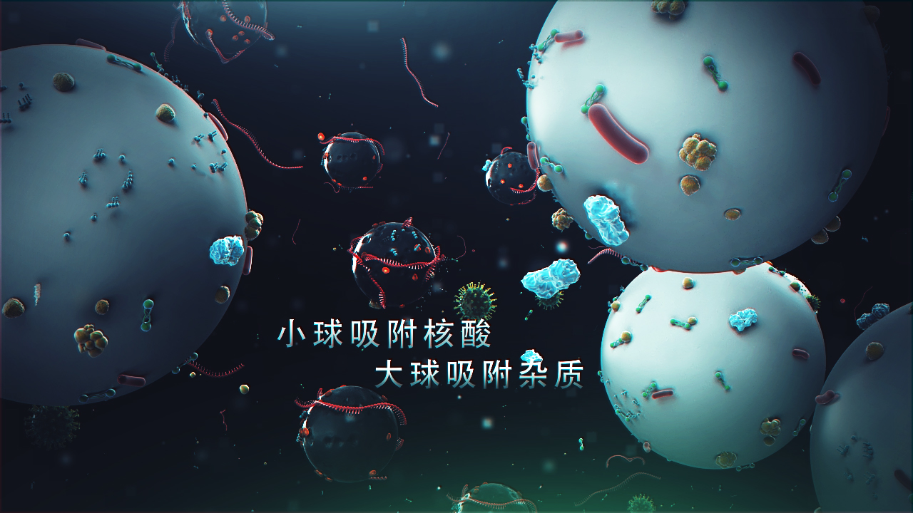 邁維動漫簽約上海速創(chuàng)診斷產(chǎn)品有限公司冠狀病毒檢測醫(yī)學醫(yī)療三維動畫制作(圖3) 邁維動漫簽約上海速創(chuàng)診斷產(chǎn)品有限公司冠狀病毒檢測醫(yī)學醫(yī)療三維動畫制作(圖3)