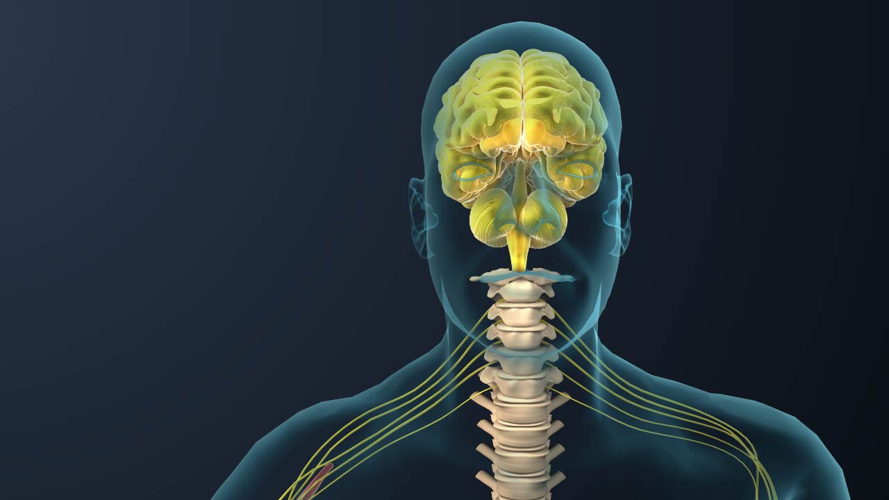 人體手術三維動畫.jpg 人體手術三維動畫.jpg