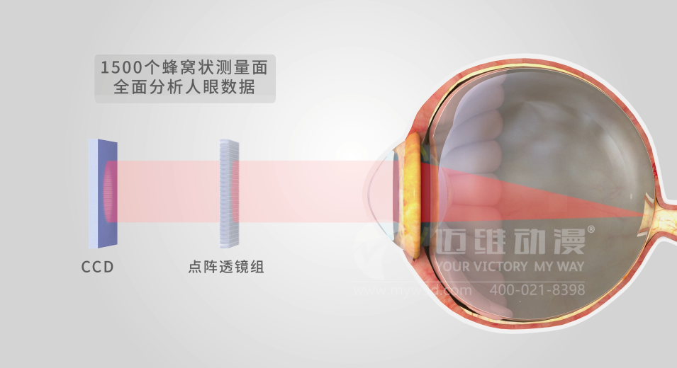 三維動(dòng)畫設(shè)計(jì)制作的重要步驟有哪些?(圖4) 三維動(dòng)畫設(shè)計(jì)制作的重要步驟有哪些?(圖4)