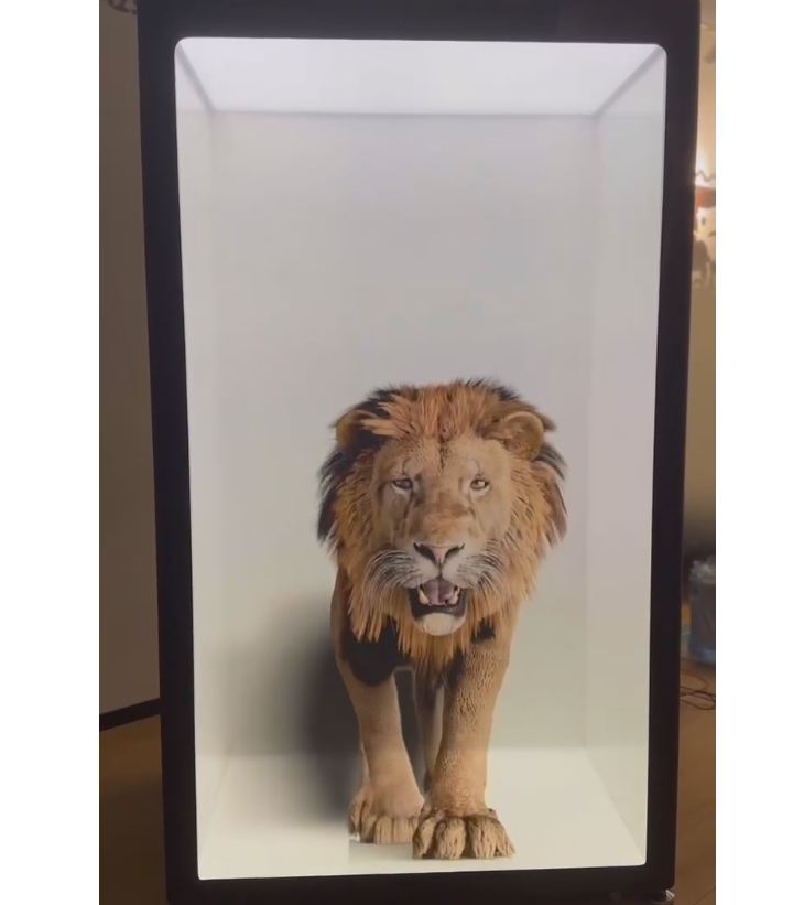 吸睛的3D全息投影帶來全新的視聽盛宴，這些應(yīng)用領(lǐng)域早知道！(圖1)