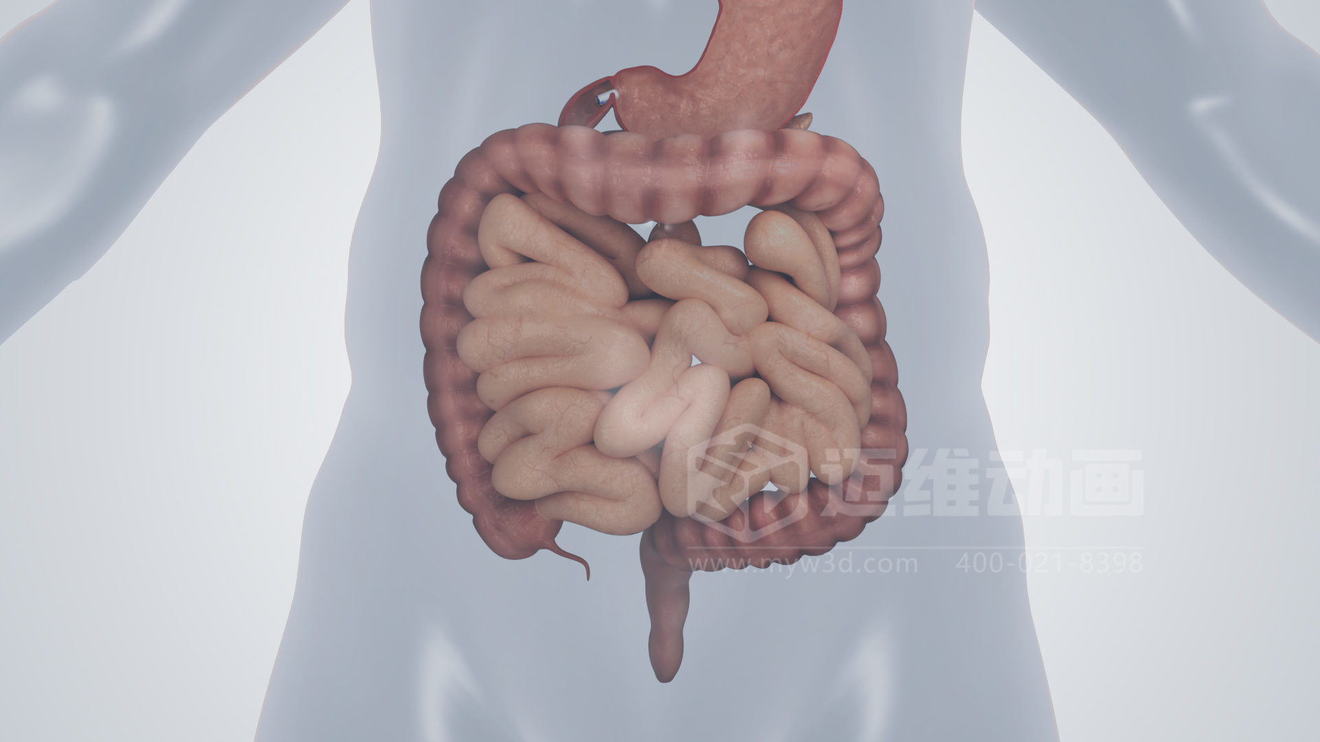 磁控膠囊機(jī)器人三維動(dòng)畫(圖5) 磁控膠囊機(jī)器人三維動(dòng)畫(圖5)