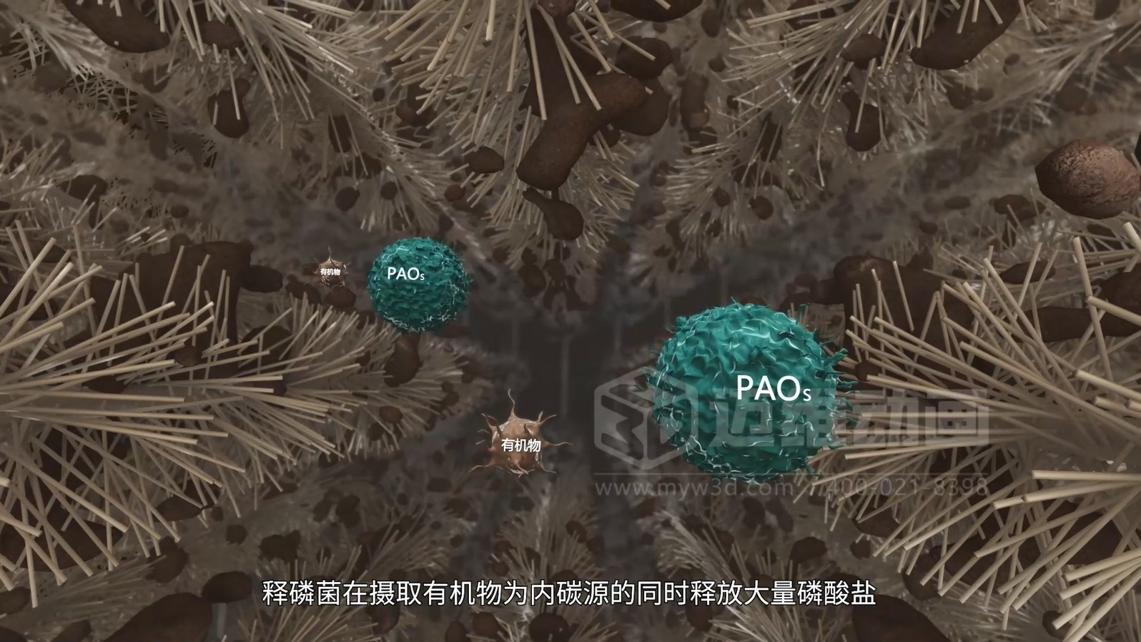 驚爆！三維動畫全方位展示鄉(xiāng)鎮(zhèn)污水一體化處理工藝，環(huán)保企業(yè)機(jī)遇來襲(圖4)