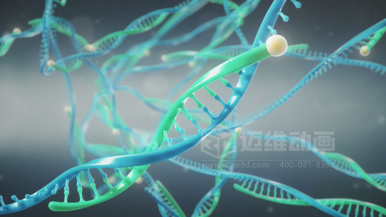 醫(yī)療分子生物學三維動畫(圖2) 醫(yī)療分子生物學三維動畫(圖2)