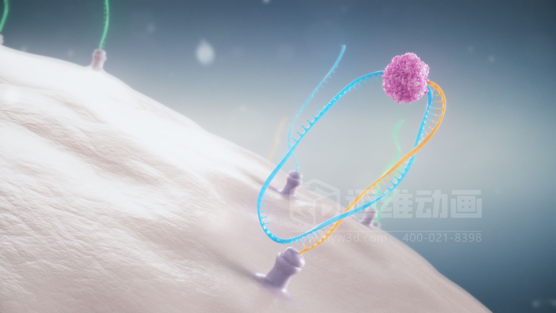 醫(yī)療分子生物學三維動畫(圖3) 醫(yī)療分子生物學三維動畫(圖3)
